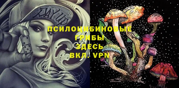 прущая мука Ельня