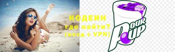 прущая мука Ельня