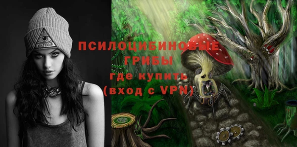 первитин Елабуга