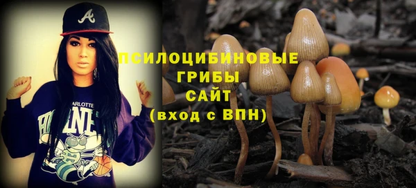 первитин Елабуга