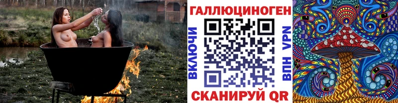 магазин продажи наркотиков  Курган  Псилоцибиновые грибы прущие грибы 